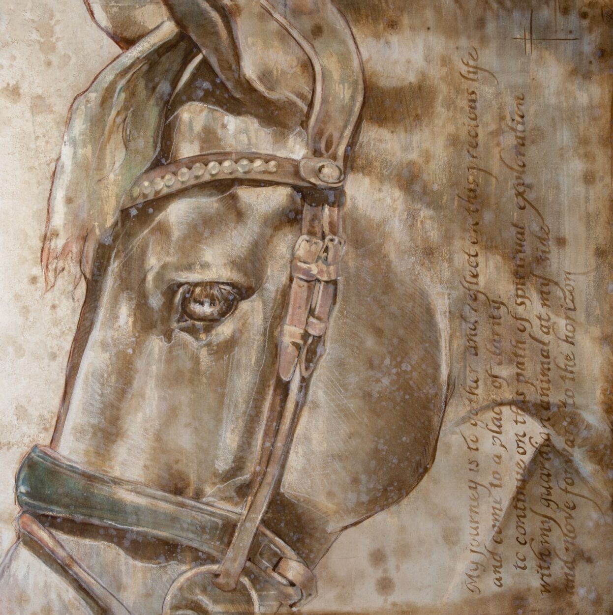 Equine Art Series