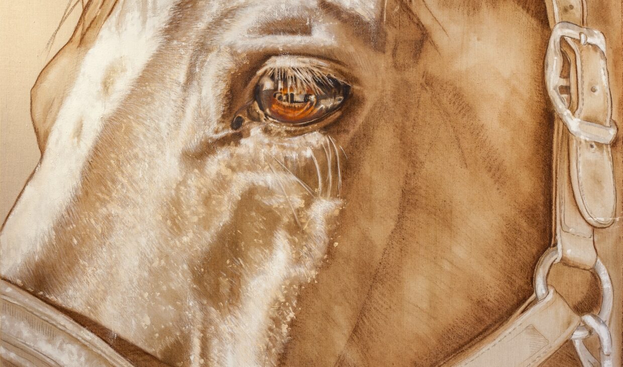 The Equine Series: Memory, Majesty, Intuition